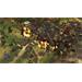 ESD STRONGHOLD WARLORDS 7629