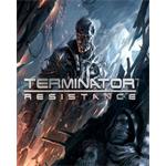 ESD Terminator Resistance STE-0007116