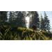 ESD theHunter Call of the Wild Bloodhound