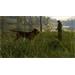 ESD theHunter Call of the Wild Bloodhound