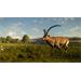 ESD theHunter Call of the Wild Cuatro Colinas Game