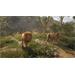 ESD theHunter Call of the Wild Vurhonga Savanna