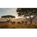 ESD theHunter Call of the Wild Vurhonga Savanna