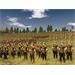 ESD Total War ROME 1340