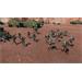 ESD Warhammer 40,000 Battlesector Necrons