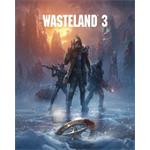 ESD Wasteland 3 7490