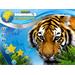 ESD Wildlife Creative Studio 6904