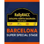 ESD WRC 9 Barcelona SSS