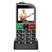 EVOLVEO EasyPhone FL, mobilní telefon pro seniory s nabíjecím stojánkem, stříbrná EP-801-FLS