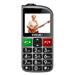 EVOLVEO EasyPhone FL, mobilní telefon pro seniory s nabíjecím stojánkem, stříbrná EP-801-FLS