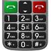 EVOLVEO EasyPhone FM, mobilní telefon pro seniory s nabíjecím stojánkem (stříbrná barva) EP-800-FMS