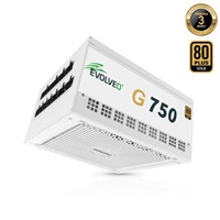 EVOLVEO G750 zdroj 750W, 80+ GOLD, ATX 3.1, aPFC, 140 mm ventilátor, záruka 3 roky, bílý G750-WH