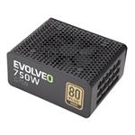EVOLVEO G750 zdroj 750W, eff 91%, 80+ GOLD, aPFC, modulární, retail E-G750R