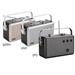 FERGUSON Digital Radio Regent P1 - silver P1 silver