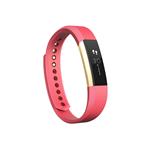 Fitbit Alta Gold Pink - Large FB406GPKL-EU