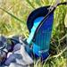 FitStream neoprénový obal Chameleon FitStreamNO-Cham
