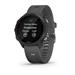 Forerunner 245, Slate 753759217174