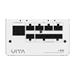 FSP VITA GM White/850W/ATX 3.1/80PLUS Gold/Modular/Retail PPA8504214