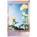Fujifilm INSTAX MINI PASTEL GALAXY 16974021