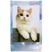 Fujifilm INSTAX MINI PASTEL GALAXY 16974021