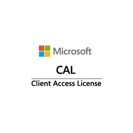 FUJITSU Windows 2025 - WINSVR CAL 1 User PY-WCU01FA
