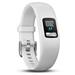 GARMIN fitness náramek vívofit4 White/ LCD 11 x 11 mm (velikost S/M) 010-01847-11