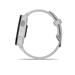 Garmin Forerunner 165, Mist Grey/Whitestone 010-02863-21