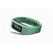 Garmin Vivofit Teal 753759119584