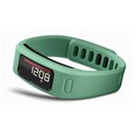 Garmin Vivofit Teal 753759119584