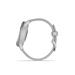 Garmin vivomove Trend Silver/Mist Grey 010-02665-03