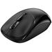 GENIUS NX-7123 Black/ 1200 dpi/ bezdrátová/ Copilot/ 4tlačítková/ USB-A/ USB-C/ černá 31030043400
