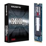 GIGABYTE SSD 256GB M.2 GP-GSM2NE3256GNTD