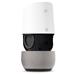 Google Home - Hlasový asistent SMHGG6218