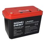 GOOWEI ENERGY trakční baterie (LiFePO4) CNLFP100-12.8, 100Ah, 12.8V