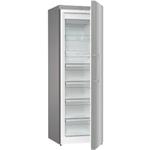 Gorenje FN619FES5 skrinovy mrazak 3838782638817