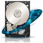 HDD 1TB Seagate Const.ES 64MB SAS 6Gb/s 7.2k RAID ST1000NM0001