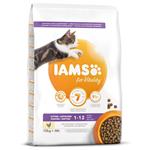 Iams Cat Kitten Chicken 10Kg 8710255127736