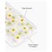 iDeal Fashion Clear Case MagSafe iPhone 16 Pro Daisy Bloom IDCLCMS-I2461P-543