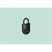 Igloohome Padlock Lite - chytrý visací zámek, otisk prstu, černá 0765855085489