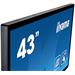 iiyama ProLite T4361MSC-B1 - LED monitor - 43" (42.5" zobrazitelný) - dotyková obrazovka - 1920 x 1