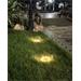 IMMAX CUTE venkovní solární LED osvětlení, 0.45W, IP68, 4ks v balení 08496L