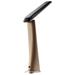 IMMAX LED stolní lampička WOOD s vestavěnou baterií/ CCT/ 5W/ 200lm/ stmívatelná/ imitace dřeva 08982L