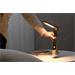 IMMAX LED stolní lampička WOOD s vestavěnou baterií/ CCT/ 5W/ 200lm/ stmívatelná/ imitace dřeva 08982L