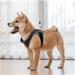 Insta360 GO 2 Pet Strap Mount INST440-01