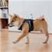 Insta360 GO 2 Pet Strap Mount INST440-01