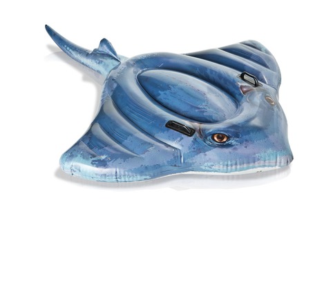Intex 57550 Plovoucí nafukovací REJNOK I 78257575503