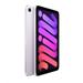 iPad mini Wi-Fi 128GB Fialový (2024) MXN93HC/A