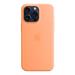 iPhone 15 Pro Max Silicone Case with MagSafe - Orange Sorbet MT1W3ZM/A