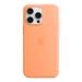 iPhone 15 Pro Max Silicone Case with MagSafe - Orange Sorbet MT1W3ZM/A