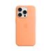 iPhone 15 Pro Silicone Case with MagSafe - Orange Sorbet MT1H3ZM/A
